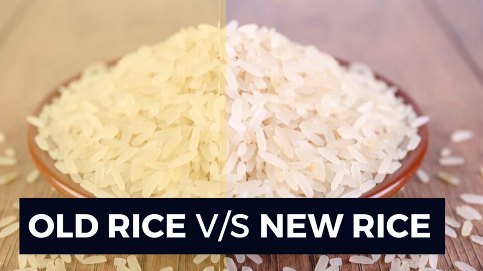 تشخیص برنج کهنه از نو