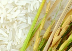 برنج هاشمی ایرانی