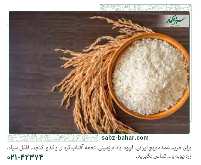بهترین برنج ایرانی کدام است؟ | مقایسه 3 برنج پرمصرف ایرانی