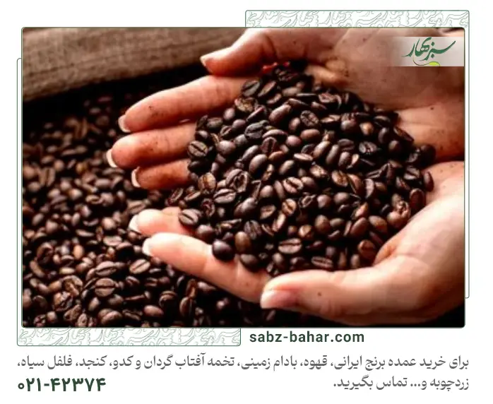 راهنمای کامل خرید قهوه عمده برای کافه‌ها و رستوران‌ها