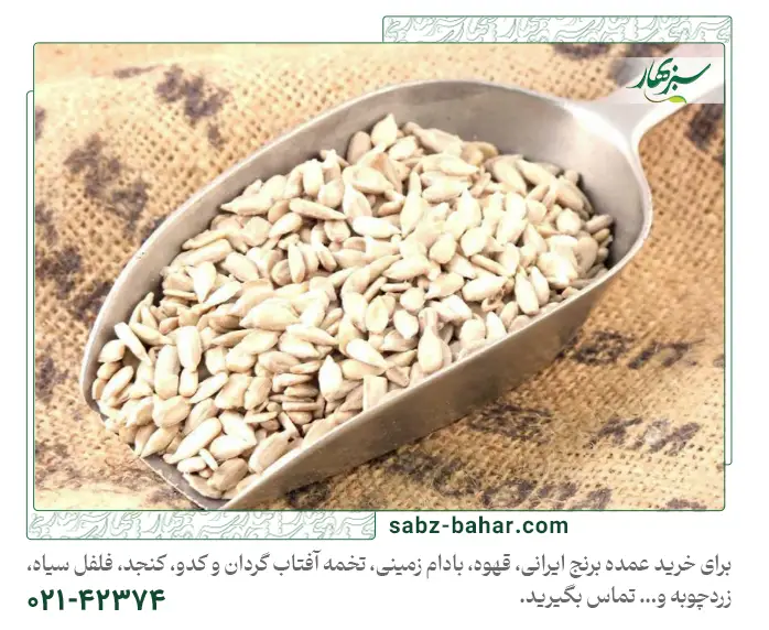 https://sabz-bahar.com/bulk-sunflower-seed/