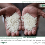 سود برنج ایرانی