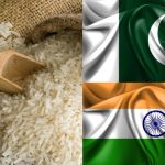 برنج پاکستانی بهتره یا هندی