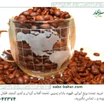 تاثیر قهوه بر سرطان | قهوه و سرطان، بررسی دقیق براساس تحقیقات علمی