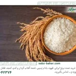 بهترین برنج ایرانی کدام است؟ | مقایسه 3 برنج پرمصرف ایرانی