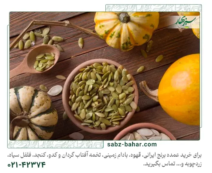 سیر تا پیاز خواص و مضرات تخم کدو