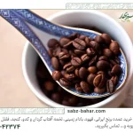 آسانترین روش طرز تهیه قهوه عربیکا؛ 2 روش راحت