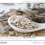 راهنمای بسته‌بندی تخمه آفتابگردان عمده