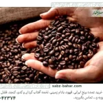 راهنمای کامل خرید قهوه عمده برای کافه‌ها و رستوران‌ها