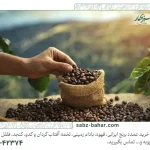 چطور قیمت قهوه عمده را تحلیل کنیم و خرید بهتری داشته باشیم؟