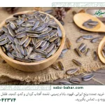 چطور کیفیت تخمه آفتابگردان عمده را ارزیابی کنیم؟