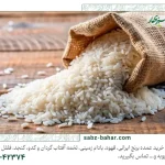 نکات خرید عمده برنج | 5 تا از نکاتی که در خرید عمده برنج باید لیست کنیم و به آن ها توجه کنیم